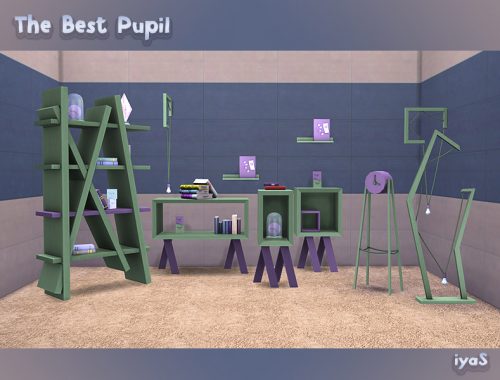 The Best Pupil