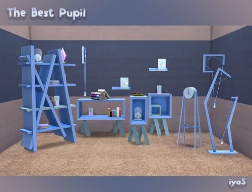 The Best Pupil