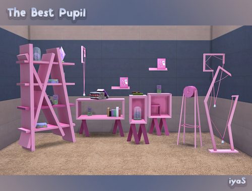 The Best Pupil