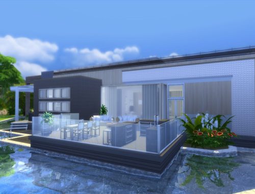 Modern Zirus