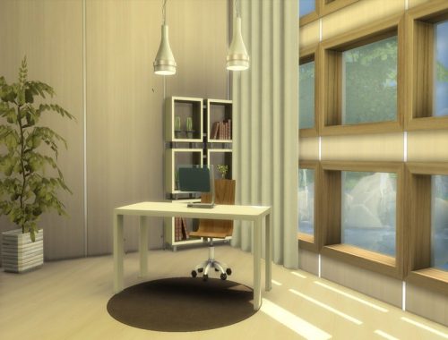 Modern Zirus
