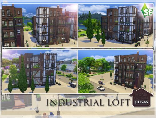 Industrial Loft