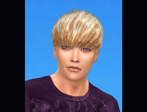 23 Re-colors of S-Club MK Hair#1