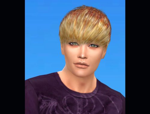 23 Re-colors of S-Club MK Hair#1