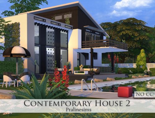 Contemporary House 2