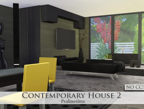 Contemporary House 2