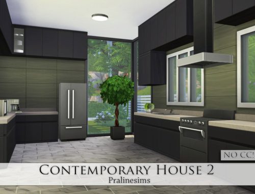 Contemporary House 2