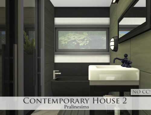 Contemporary House 2