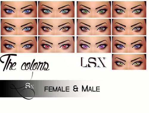 Realistic eyes [ Female and Male ]
