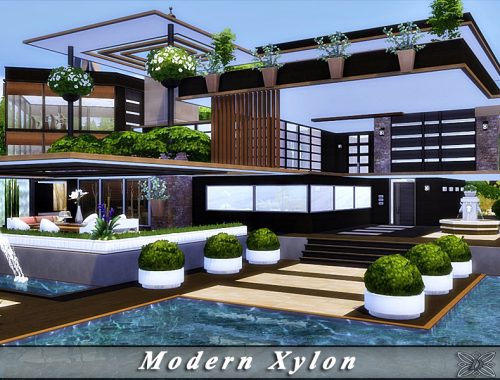 Modern Xylon