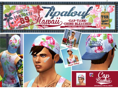 Hawaii Vintage SET