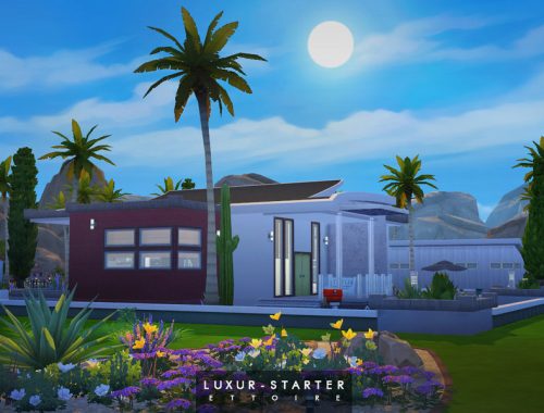 Luxur-Starter