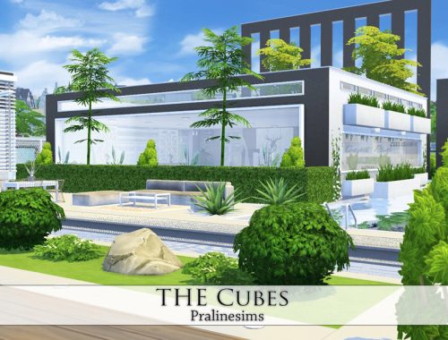 The Cubes