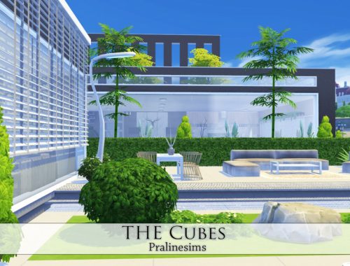The Cubes