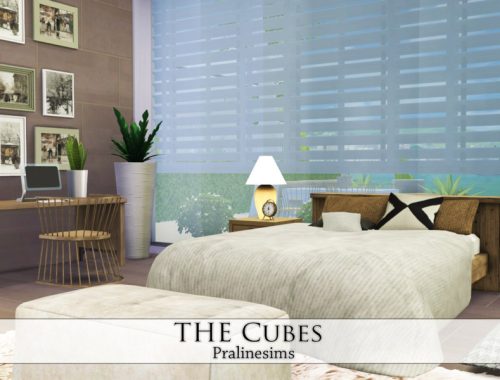 The Cubes