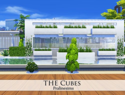 The Cubes