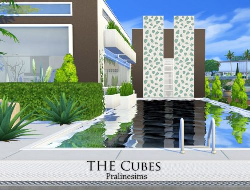 The Cubes