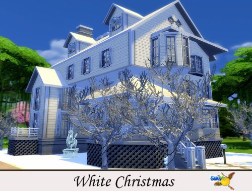 evi White Christmas