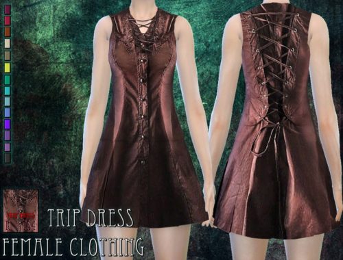 Trip dress - female clothing