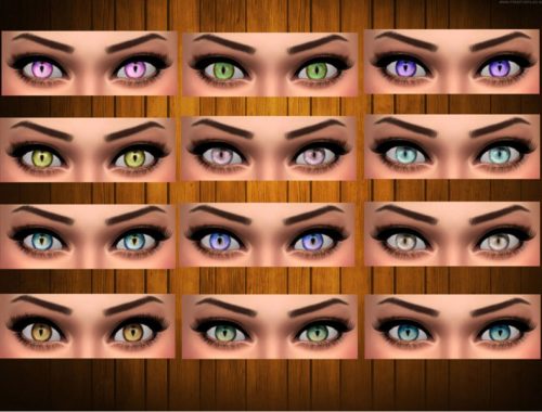 Cat Eyes