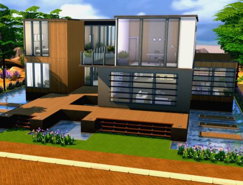 Modern Eco Villa