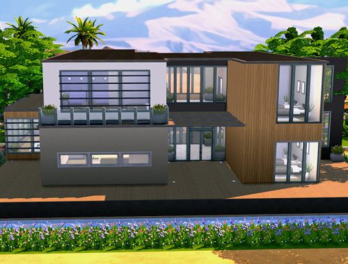 Modern Eco Villa