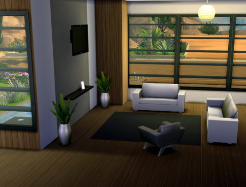 Modern Eco Villa