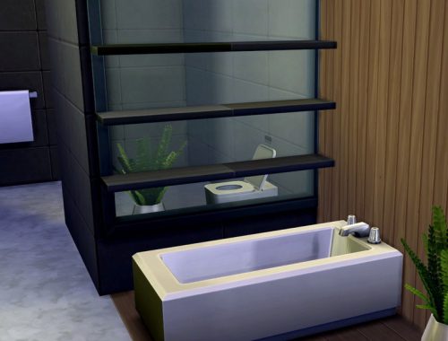Modern Eco Villa