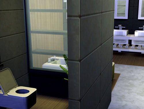 Modern Eco Villa