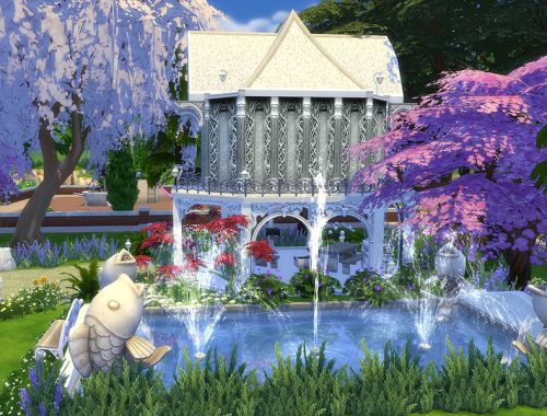 Oasis Rose