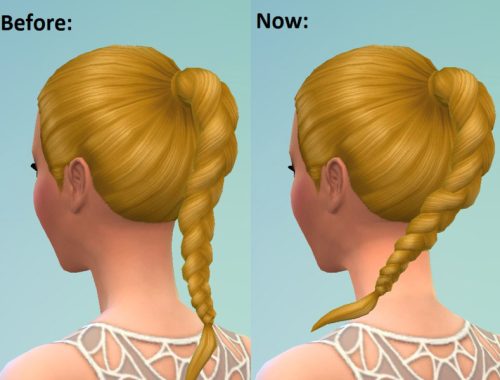Adult Female PonyBraid Front