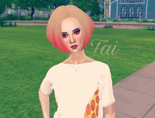 Skysims's Hair Recolor - mesh needed