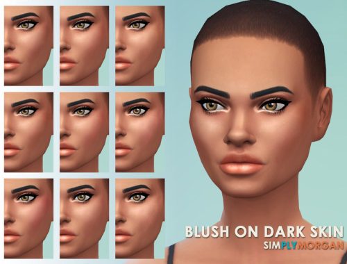 Blush and Highlights