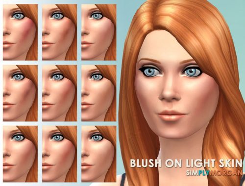 Blush and Highlights