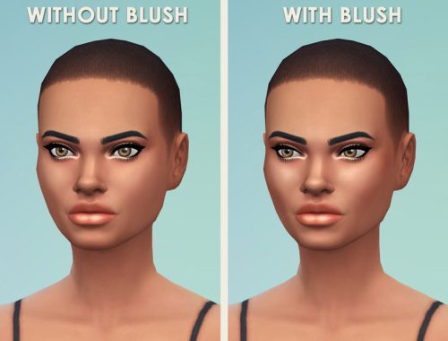 Blush and Highlights