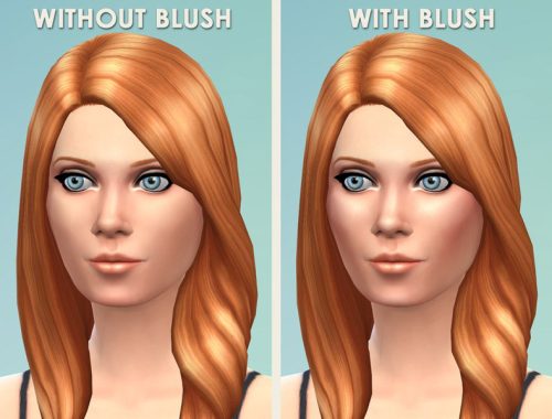 Blush and Highlights