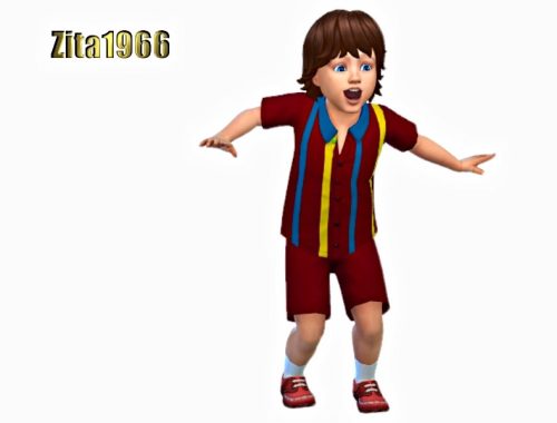 Toddler Boys Shirt and Shorts
