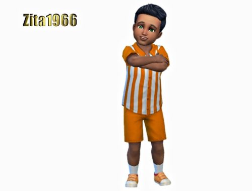Toddler Boys Shirt and Shorts