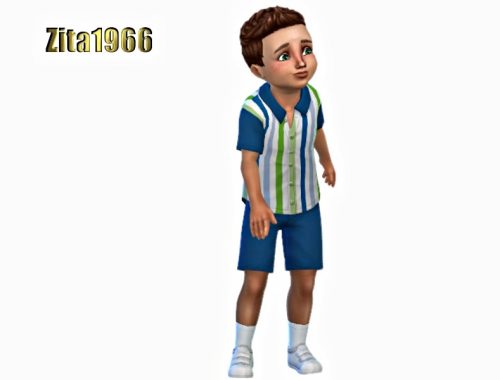 Toddler Boys Shirt and Shorts
