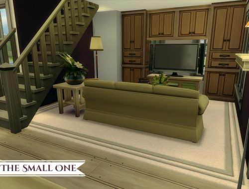 The Small One