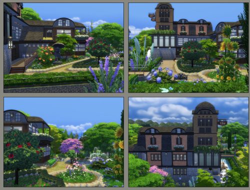 The Old Mill No CC.
