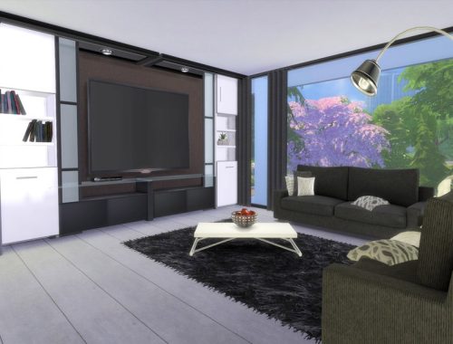 Modern Asilla