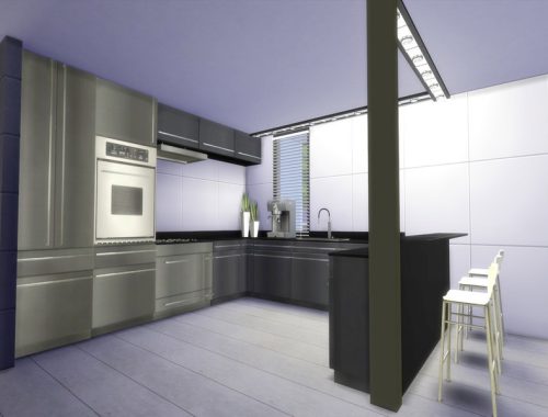 Modern Asilla