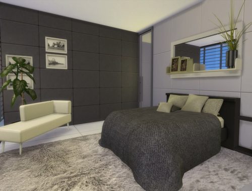 Modern Asilla