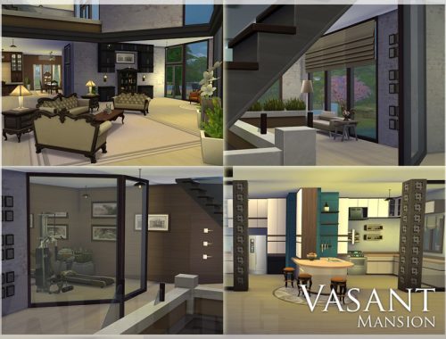 Vasant