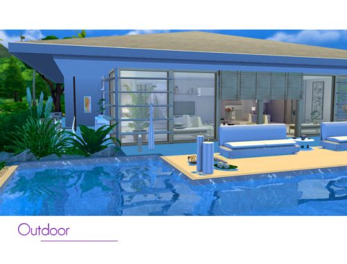 Zen Paradise
