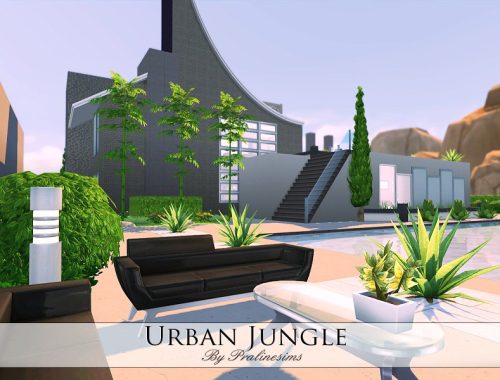 Urban Jungle