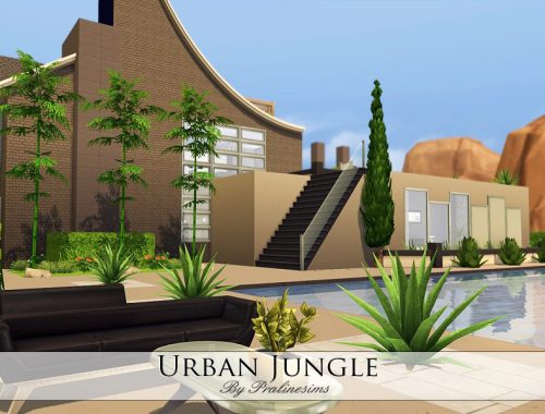 Urban Jungle