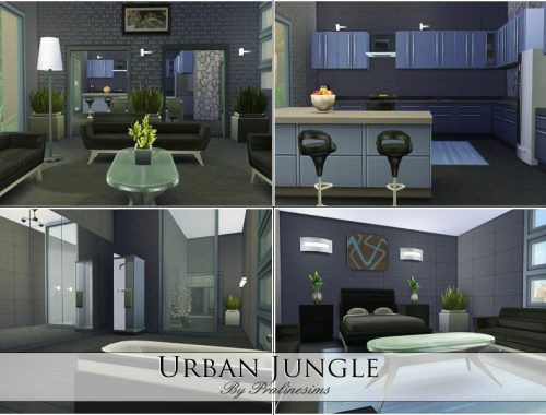 Urban Jungle