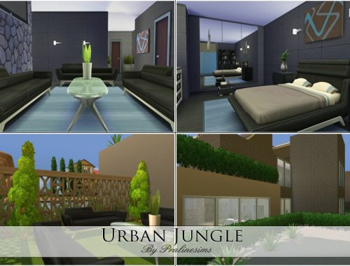 Urban Jungle